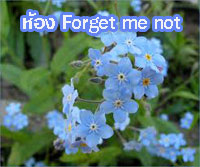 ห้องพักฟอร์เก็ตมีน็อต